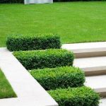 Challenging Staircase Design